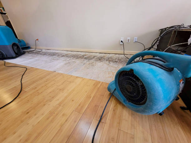 Professional Burst Pipe Water Damage technician working in Talent, OR